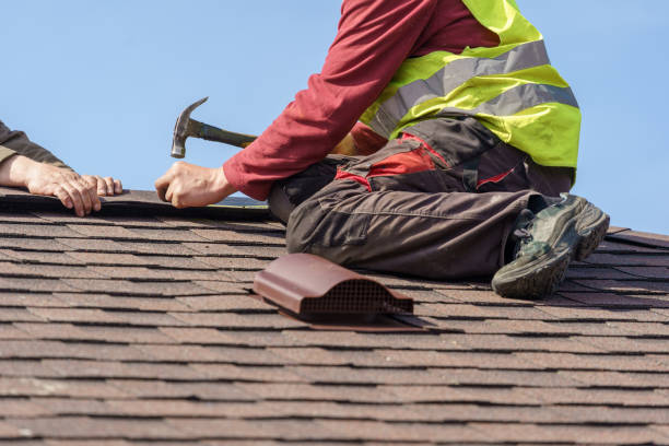 Roof Gutter Cleaning in North East, MD